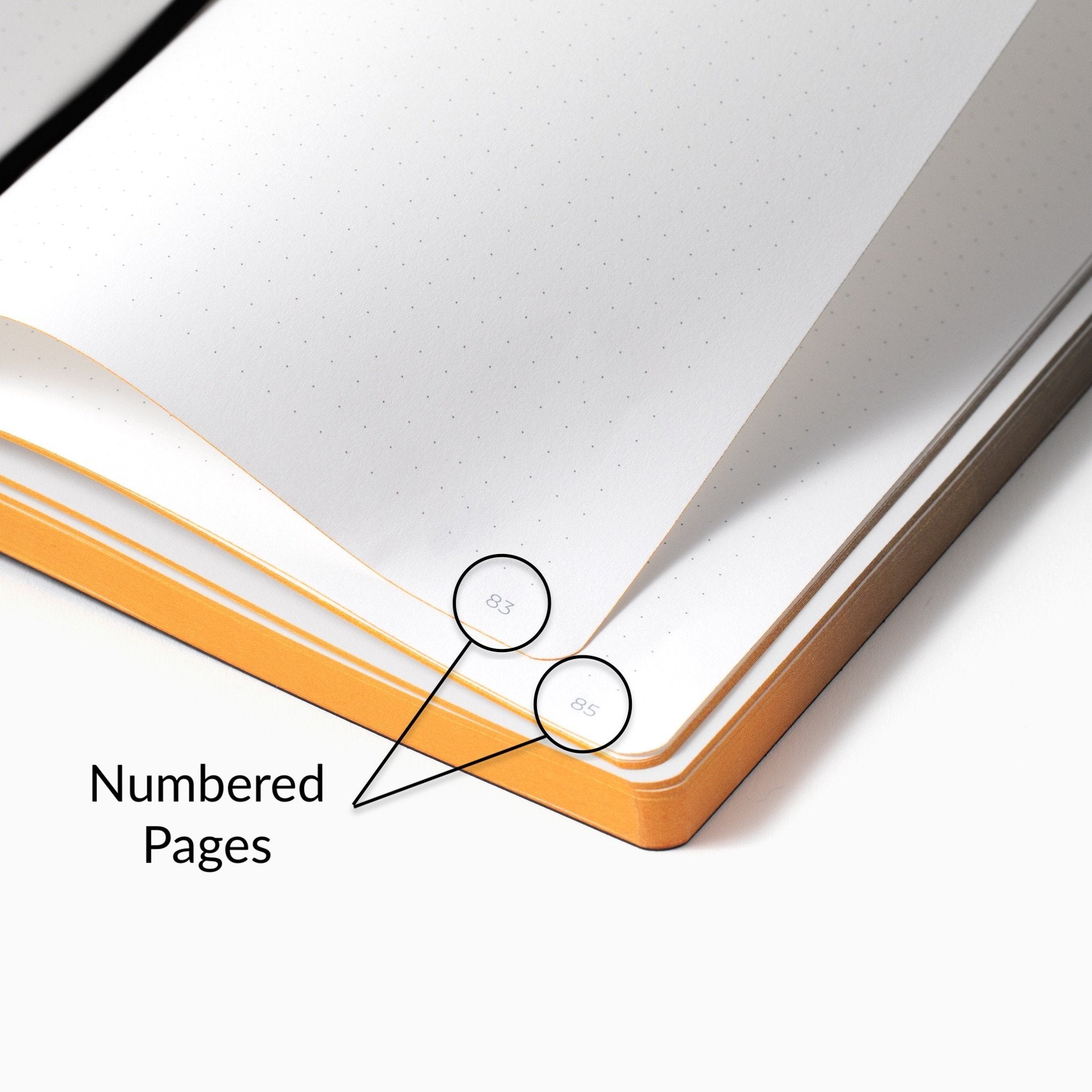 The Smart Notebook – The Smart Notebook